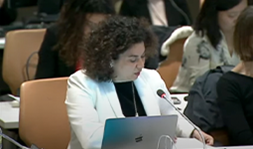 Presenting at the United Nations: Melek Pulatkonak
