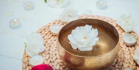 En İyi Mindfulness Konuşmacıları)