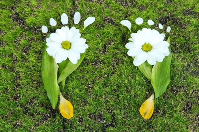 Ekolojik Ayak Izi Nasıl Hesaplanır