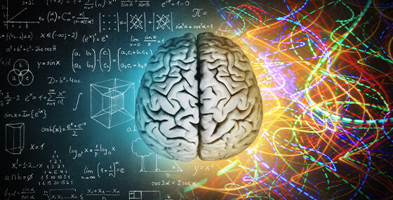 Beyin ve Öğrenme İlişkisi Nasıl Oluşur?)
