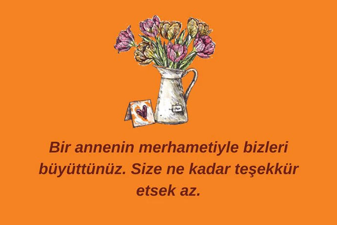 Ogretmen Sevgisi