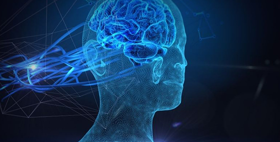 Neuro Science: Beyninizi Nasıl Kullanırsınız?)