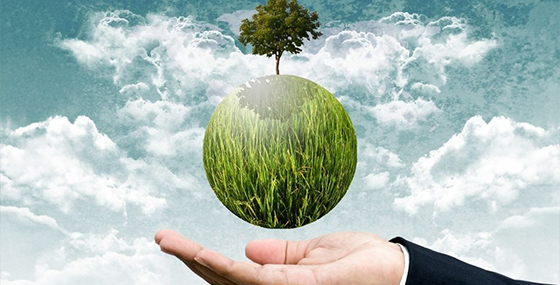 Sürdürülebilirlik Nedir? Sürdürülebilirlik Hakkında Bilmeniz Gerekenler